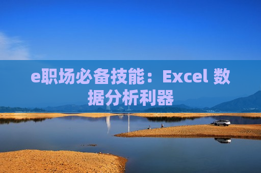 e职场必备技能：Excel 数据分析利器
